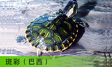  ʰ
